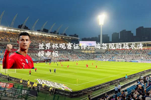 世界杯观赛证件:被忽视的战术情报中枢